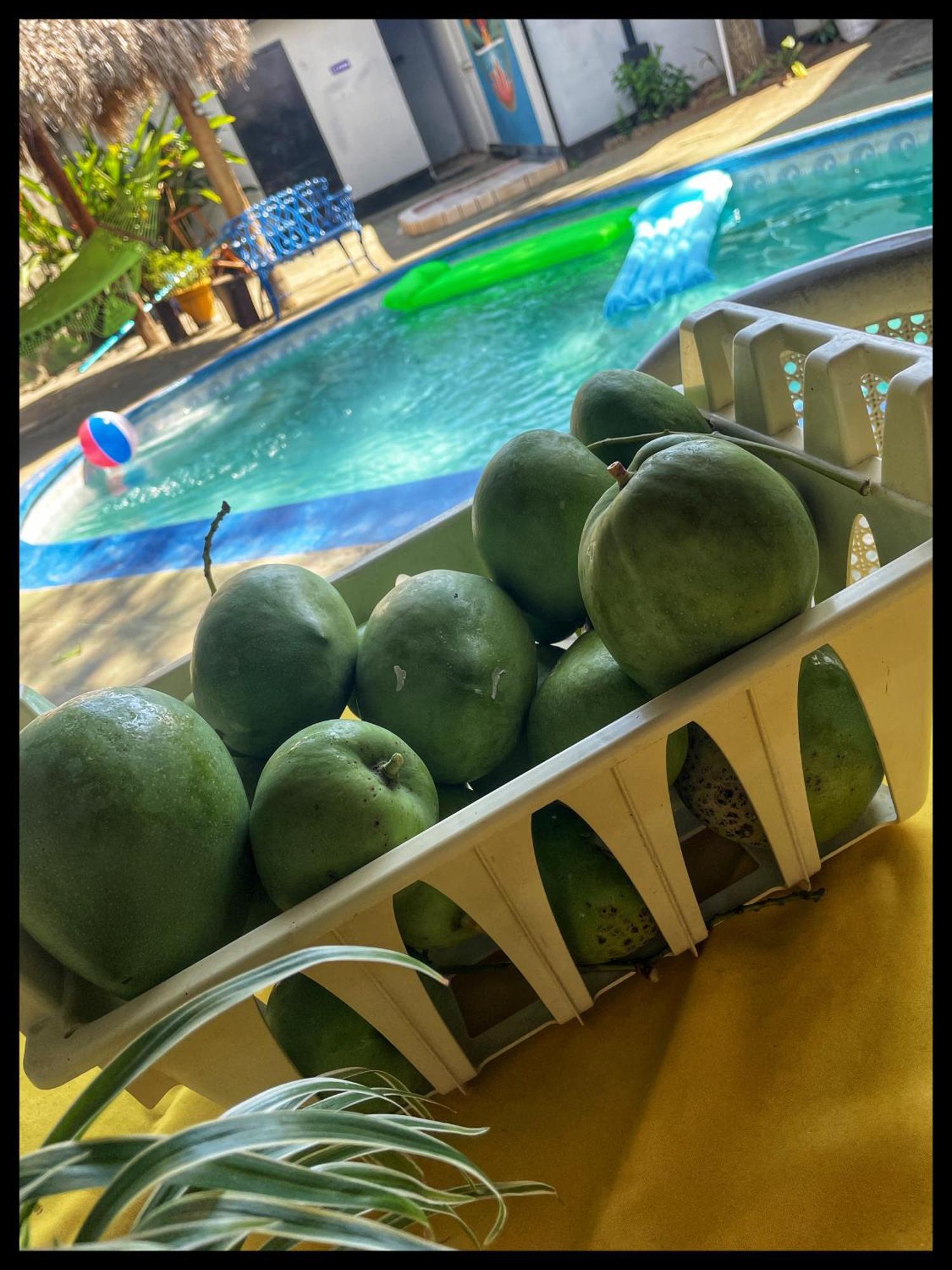 Managua Hotel Oasis Extérieur photo